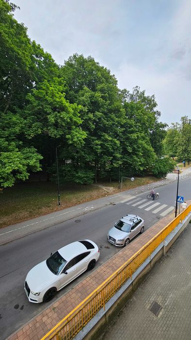 Zdjęcie 7