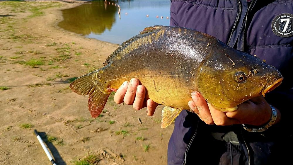Domek nad jeziorem z jacuzzi, sauną i strefą masażu .