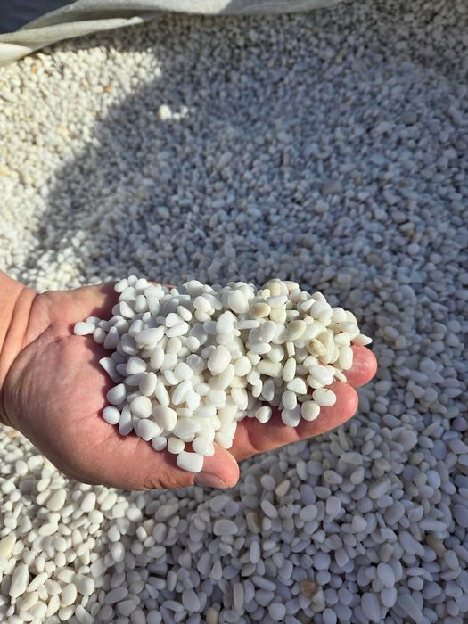 Otoczak White Angel, śnieżno-biały