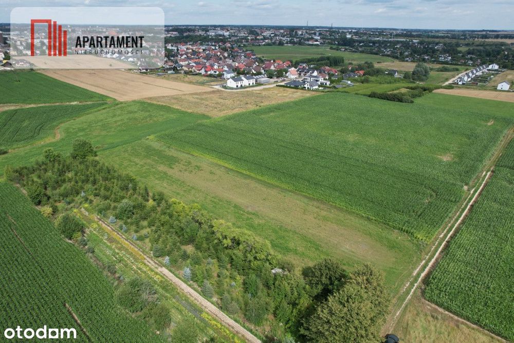 Ostatnia działka budowlana z 4 dostępnych.