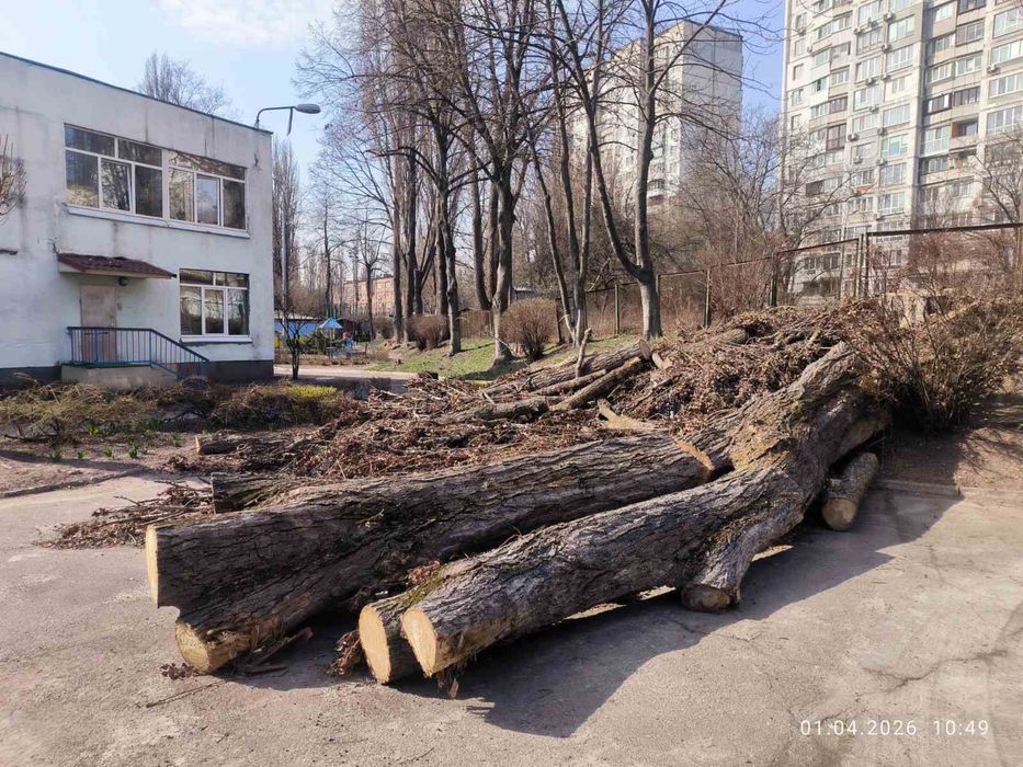 Дерева -на дрова