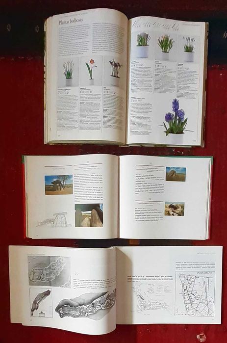 Livros - Romances e Outros Temas