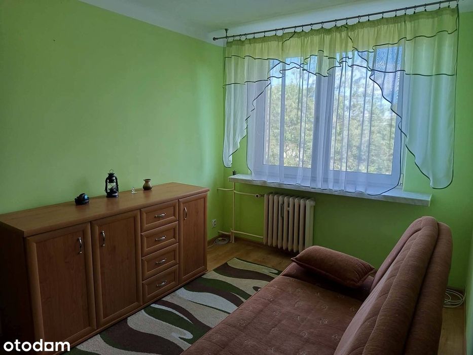 Zdjęcie 3