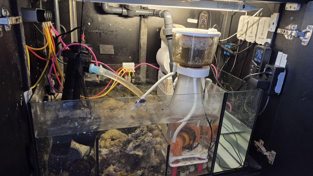 Maxspect Jump MJ-SK200 odpieniacz białek do akwarium morskiego