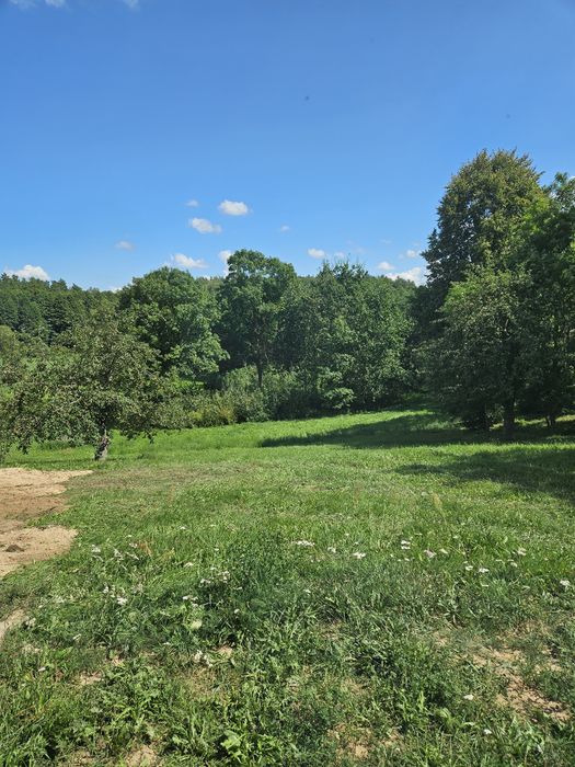 Domek do wynajęcia