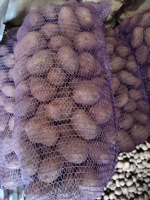 Картопля  без хіміїї