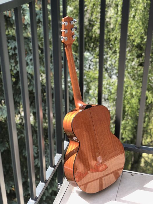 Gitara Takamine G220