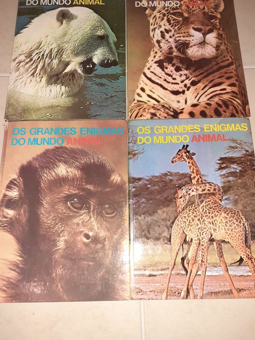 Conjunto de 6 livros grandes enigmas do mundo animal