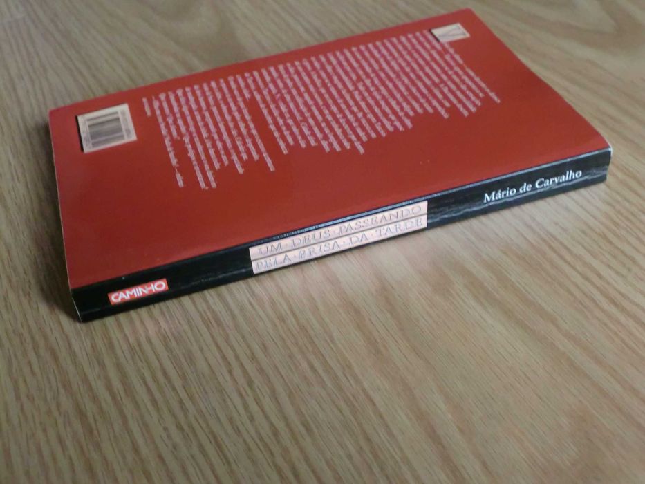 Um Deus Passeando pela Brisa da Tarde
de Mário de Carvalho