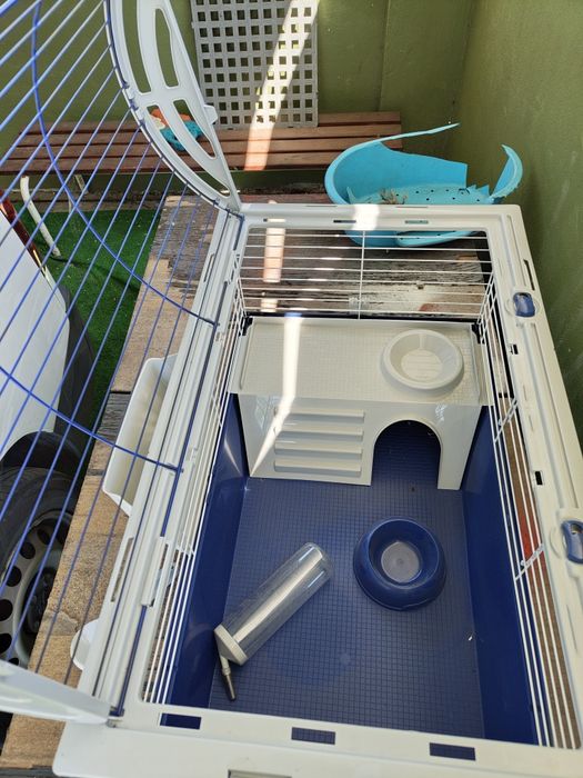 Venda de casota para coelhos, hamster, porquinhos da Índia e etc...
Of