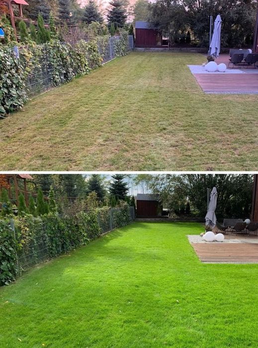 Usługi ogrodnicze ! WERTYKULCJA TRAWNIKA