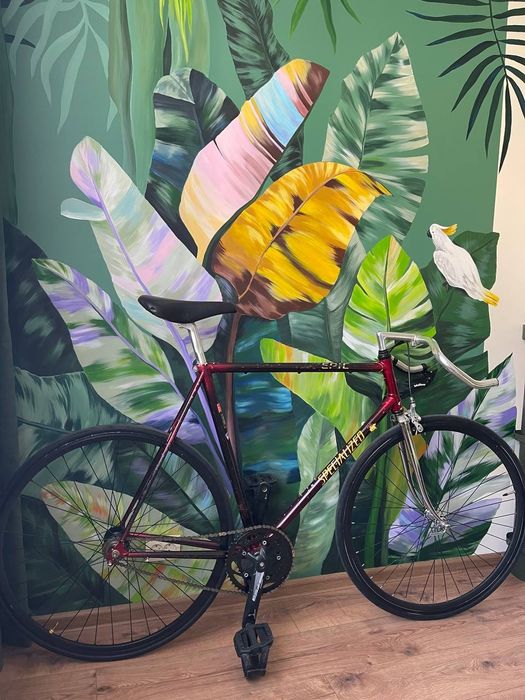 Продам карбоновий велосипед Specialized Epic carbon 1994 Single Speed Fixed