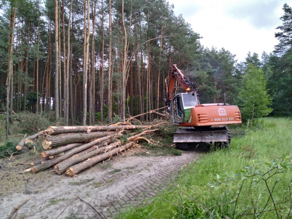 Przygotowywanie działek pod budowę/darmowa wycinka drzew
