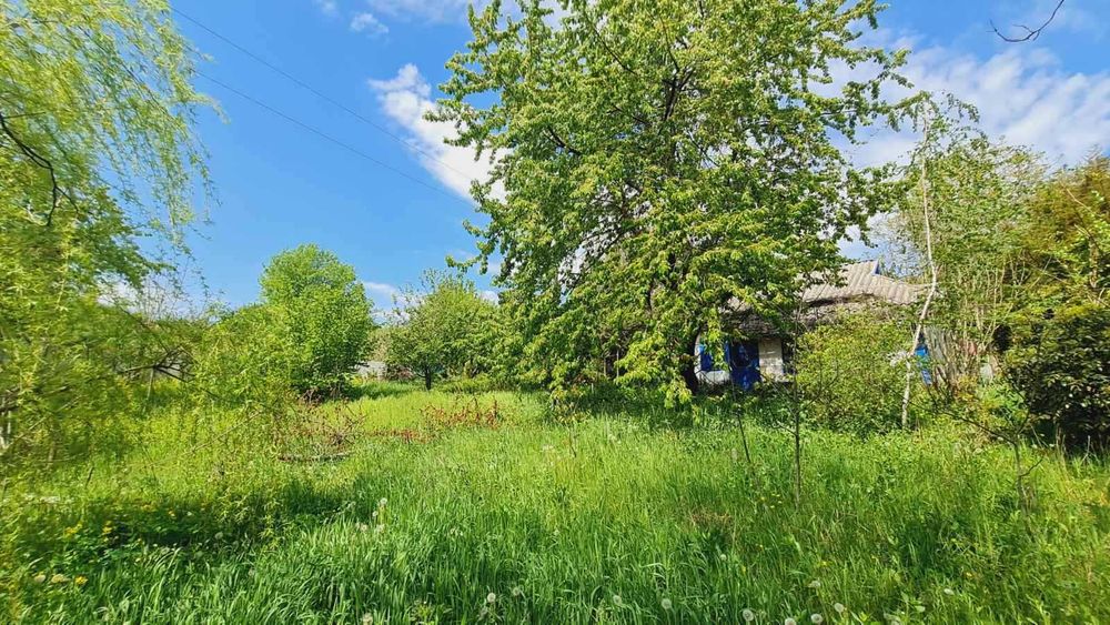 Продам БУДИНОК  в с. ЧИКАЛІВКА під ДАЧУ. 13000
