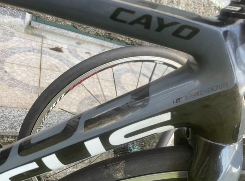 Focus Cayo Carbono