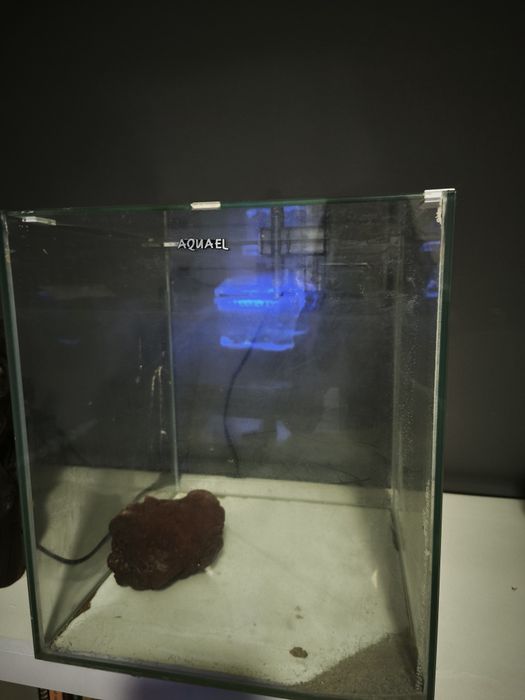 Vendo aquário em excelente estado