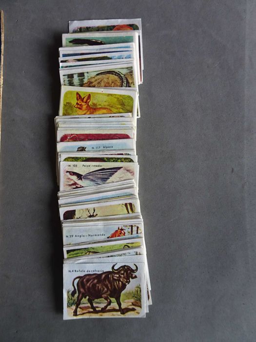Caderneta de cromos de caramelos vazia História do Reino Animal + 149
