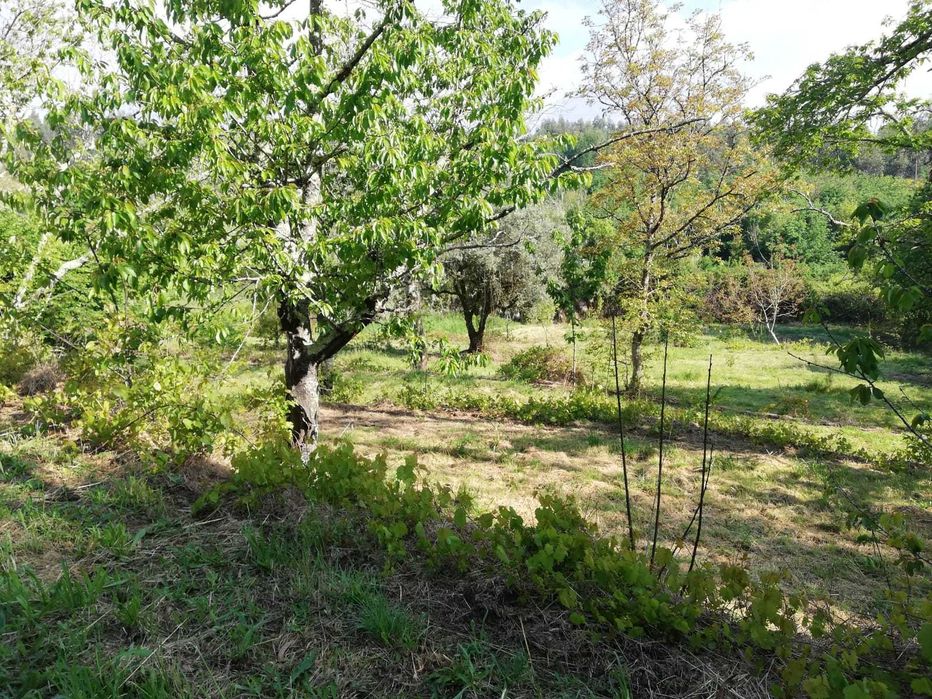 À venda de terreno em rua Professora Maria Irene Gonçalves Mota