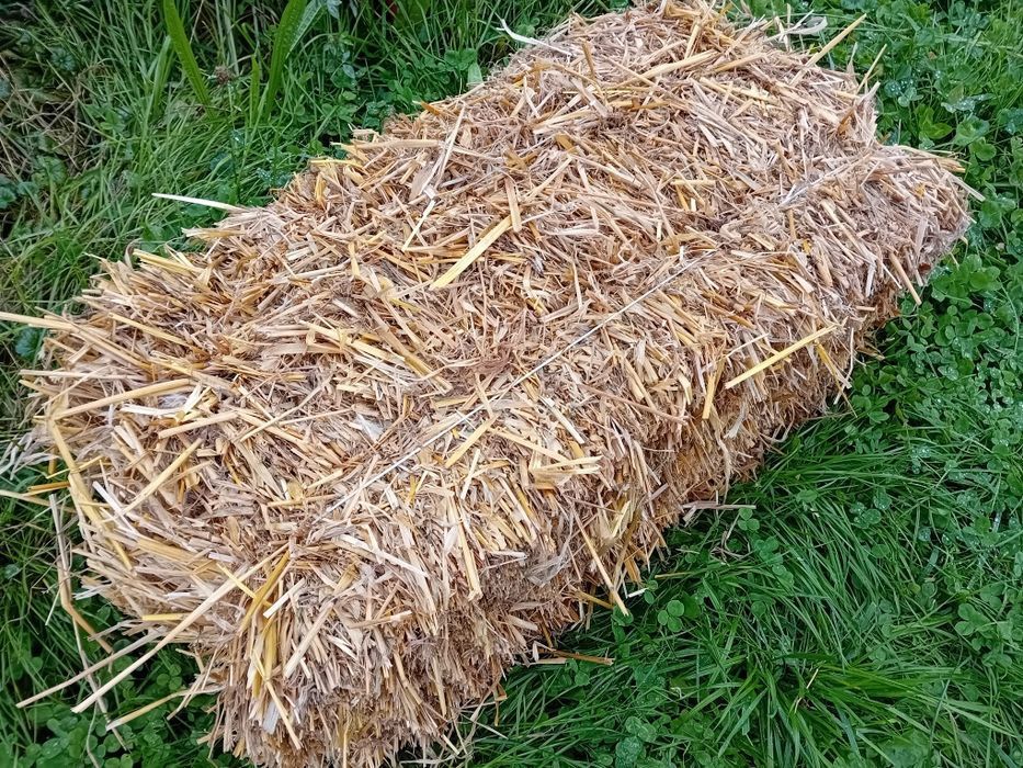 Słoma owies 2025 kostki