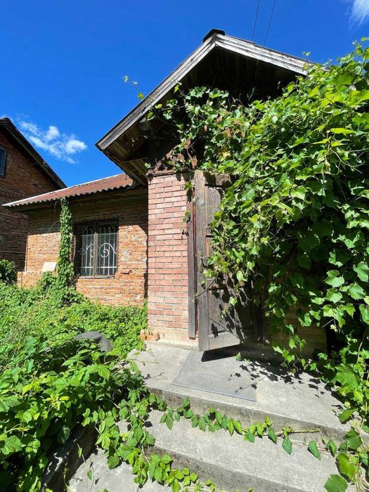 Будинок в селі Золота липа