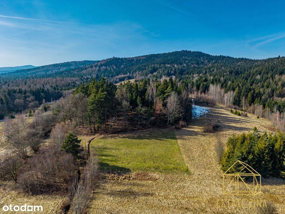 Wymarzona działka pod lasem - Bystra Podhalańska