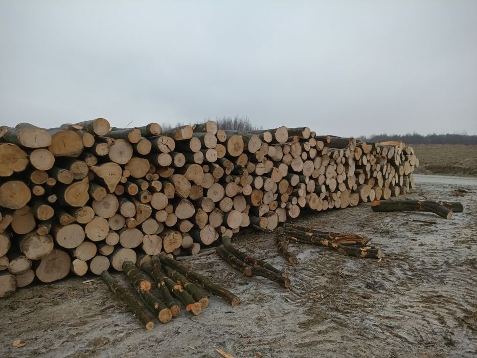 Drewno kominkowe opałowe