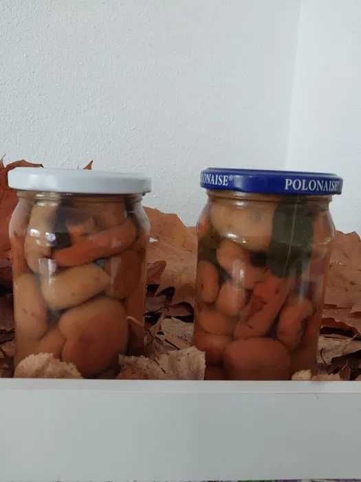 Grzyby marynowane rydze i prawdziwki