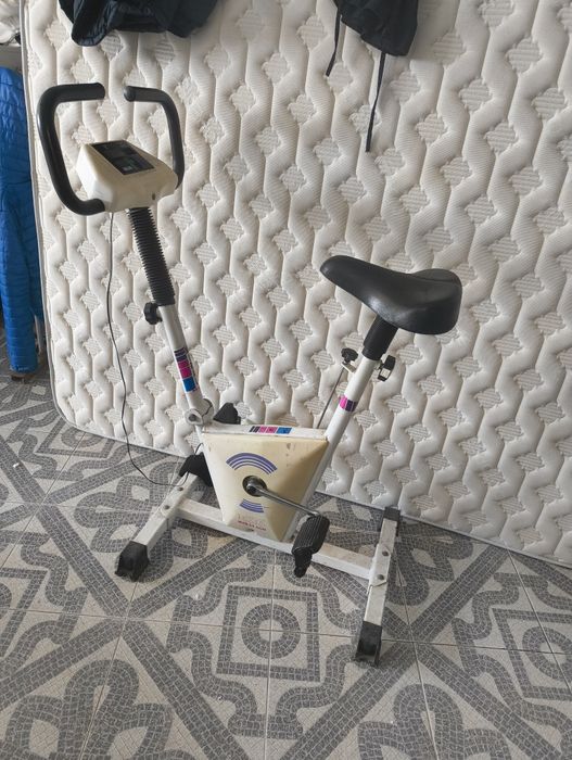 Stationary Bicycle447455895959654401