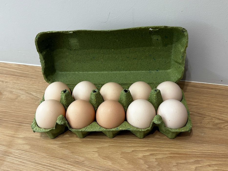 Świeże jajka z wolnego wybiegu