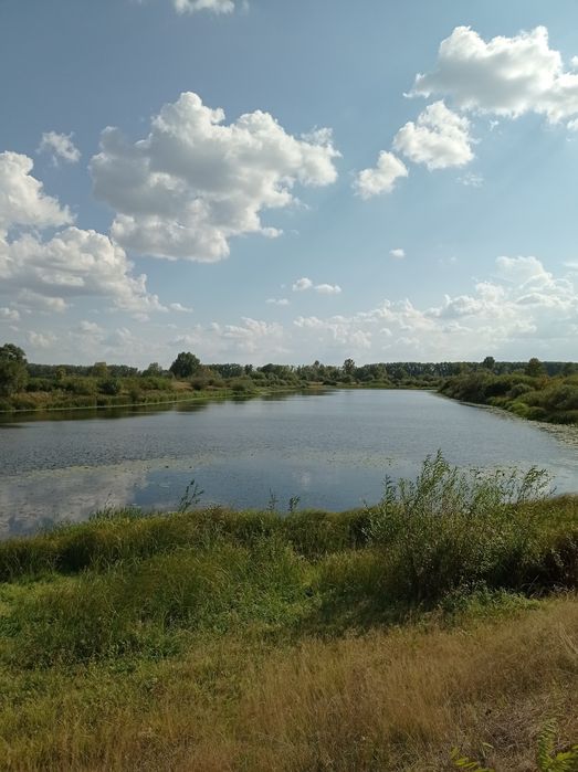 Садиба біля річки Десна. Село Лебедівка.