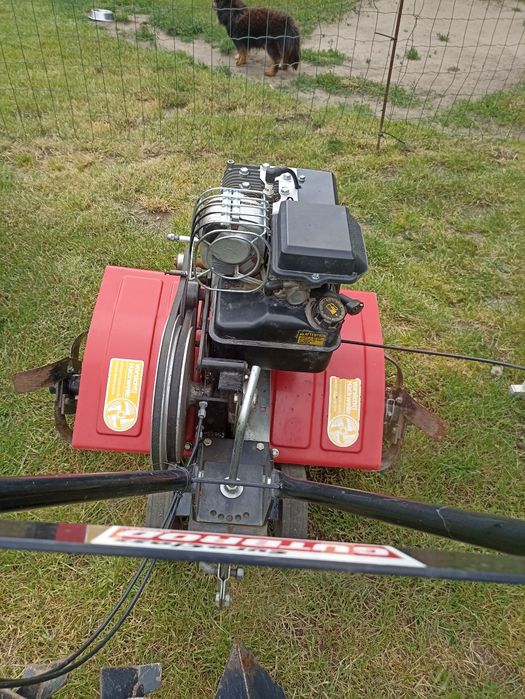 Dzik traktorek gutbrod glebogryzarka