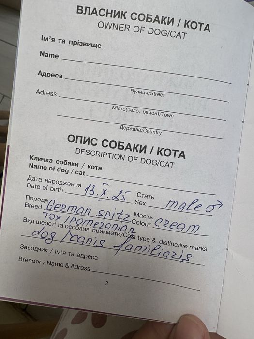 Німецький шпіц  3 кг  6місяців хлопчик паспорт