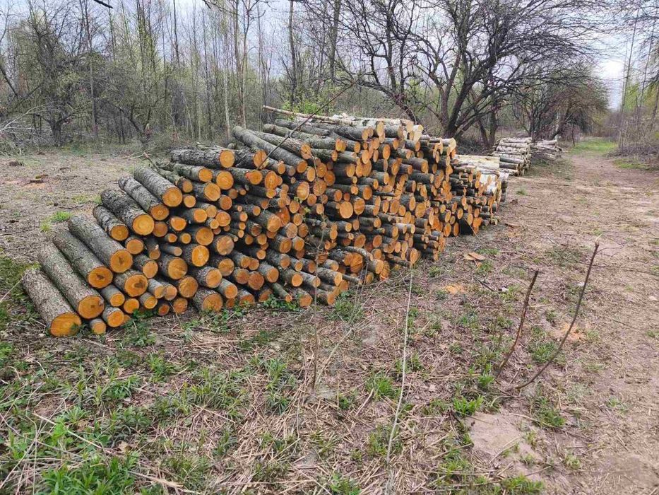 Дубові Сухі дрова Бровари/ доступні ціни