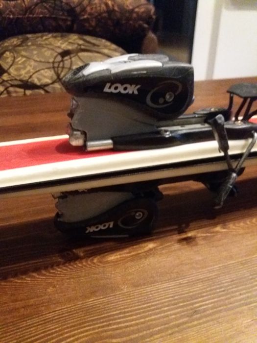 Narty Dynastar Omedrive Team.