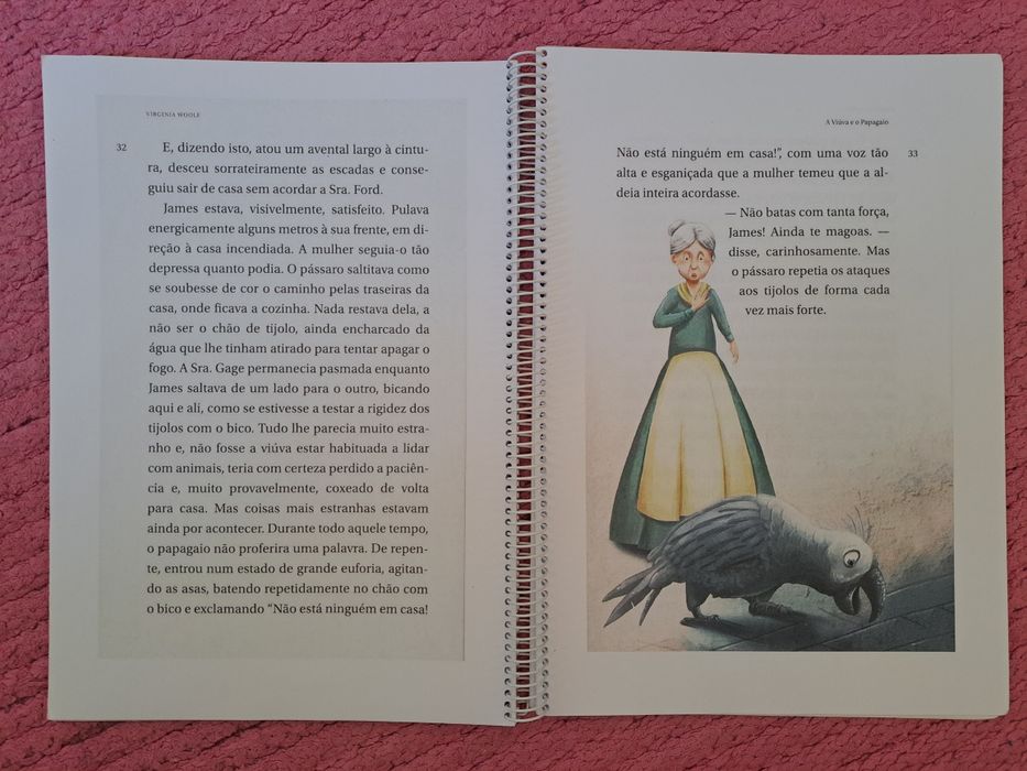 A Viúva e o Papagaio