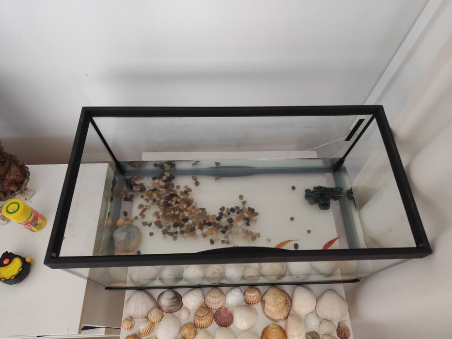 Aquário vidro usado