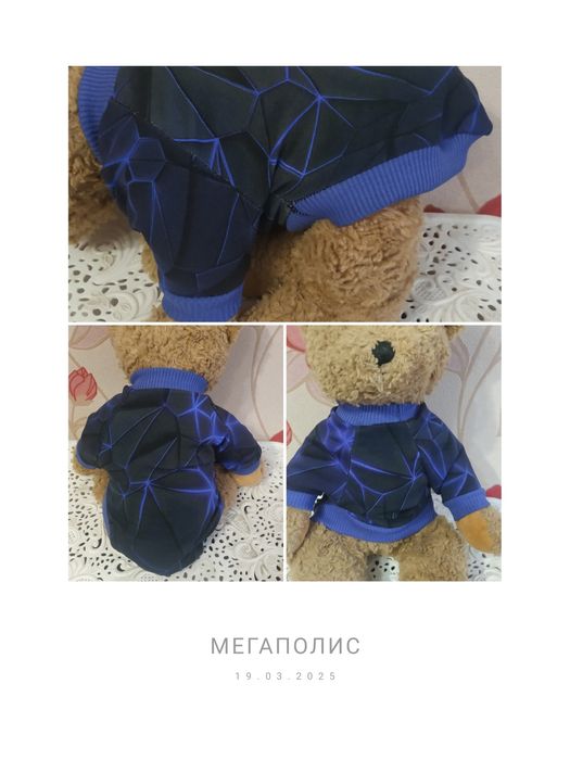 Стильний одяг для собак