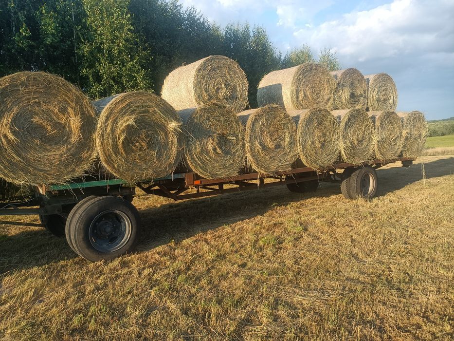 Sloma pszenzytnia 150x120 owsianka 125x120