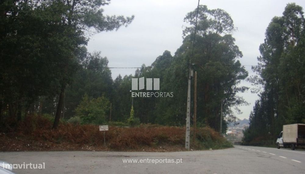 Venda de Terreno, Carvoeiro, Viana do Castelo — Barroselas E Carvoeiro, Viana do Castelo