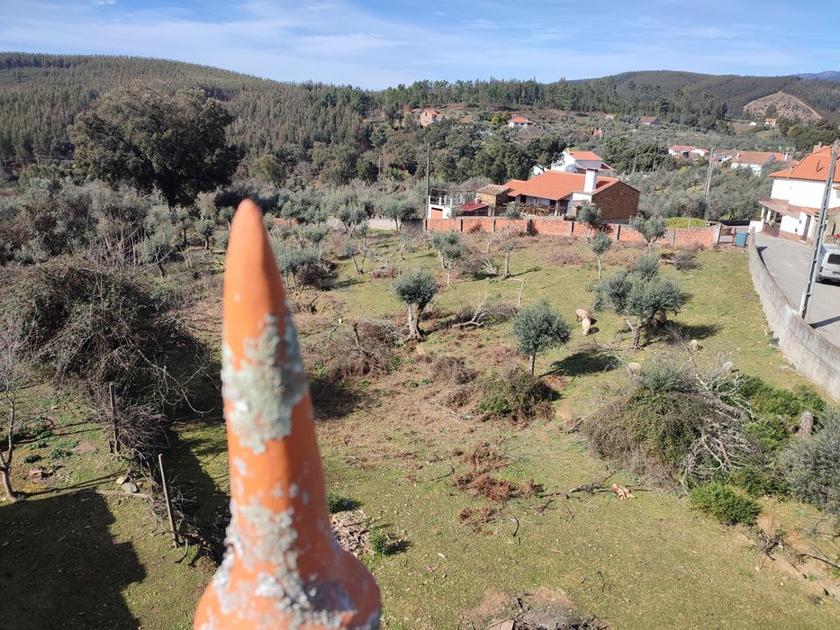 Moradia com terreno em Chã de Álvares – Excelente oportunidade