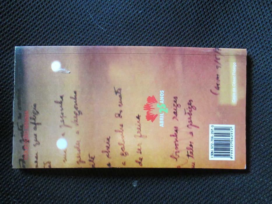 José Afonso, poeta, de Elfriede Engelmayer