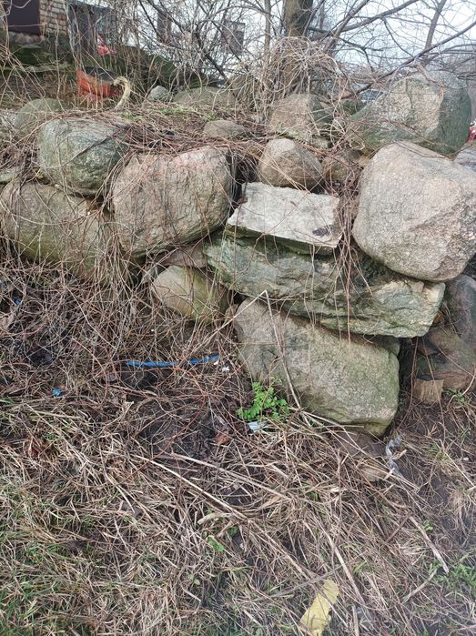 Oddam kamienie za darmo