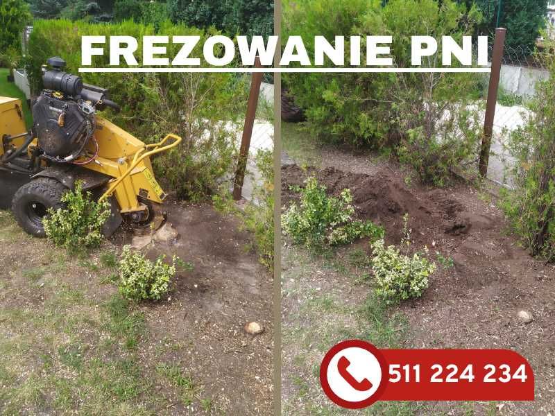 Frezowanie karp i pni usuwanie korzeni po wycince | DARMOWA WYCENA