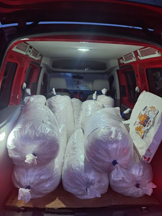 Нова Канадська соя ВІНОНА[SB 311-101] 1-А РЕПРОДУК. Відправка НП!