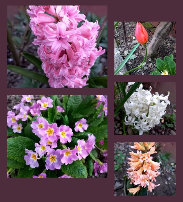 Дом по адресу ул. Загорская (площадь 110 м²) - Atlanta.ua - фото 15