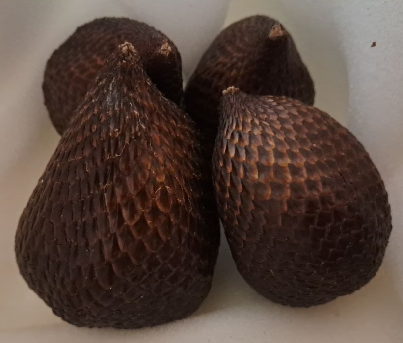 6 sementes de Salak