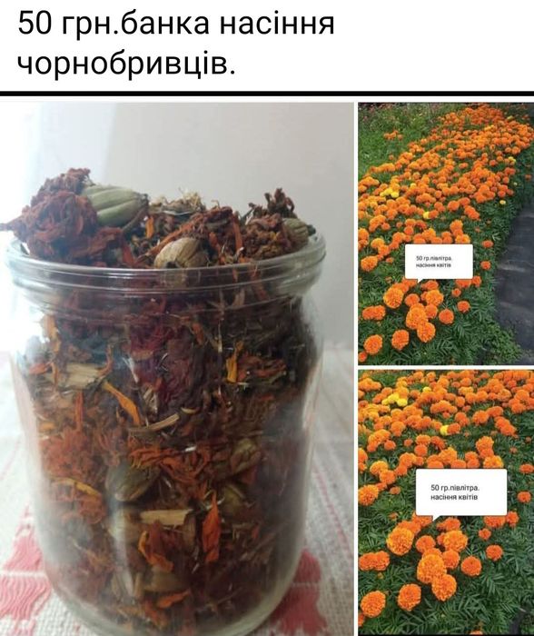 Сушені чорнобривці