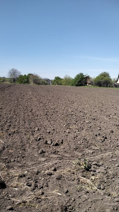 Продаж земельних ділянок с. Великополовецьке.