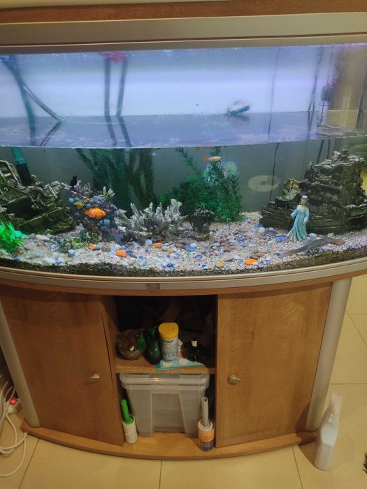 Aquário com móvel 350litros