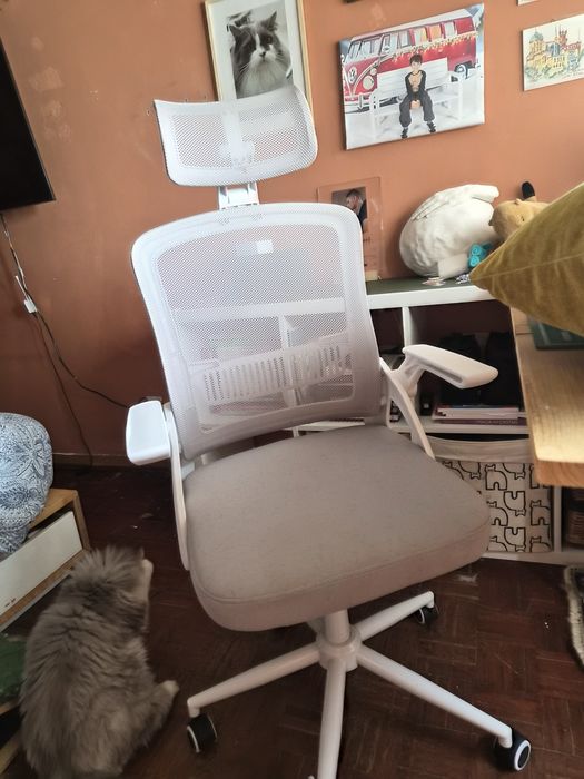 Cadeira secretária gatinha ergonómica